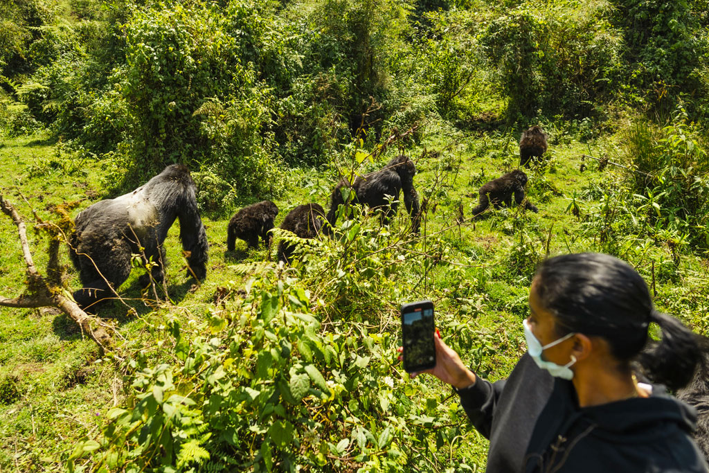 12-days-best-of-uganda-rwanda-safari