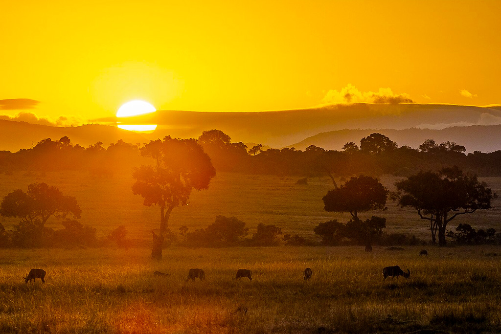 4-days-kenya-wildlife-safari-holiday