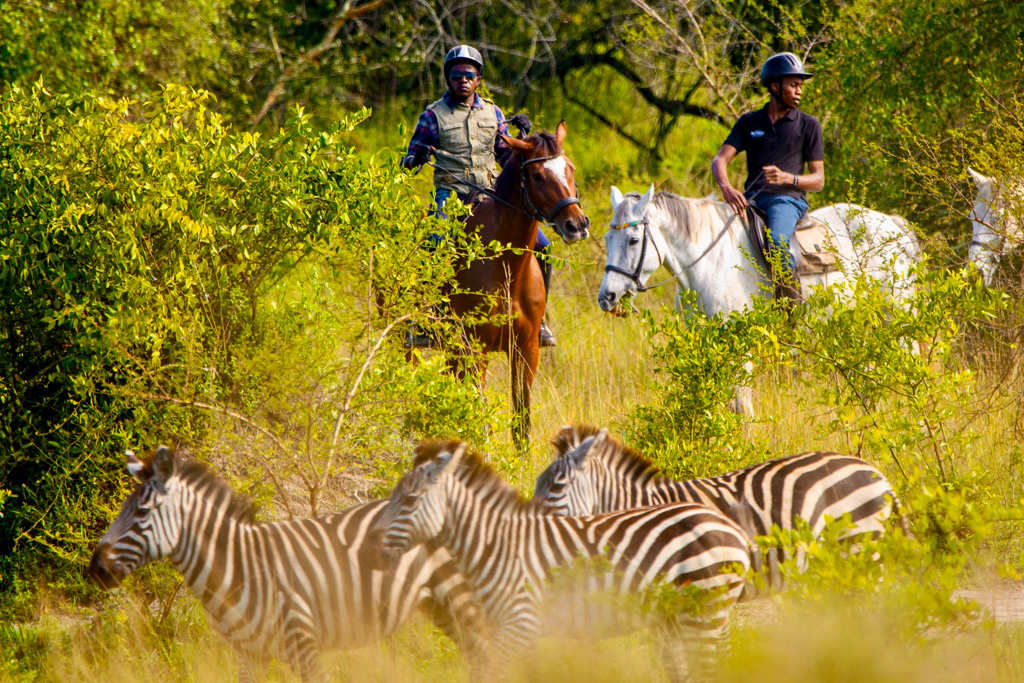 5-days-uganda-wildlife-gorilla-safari