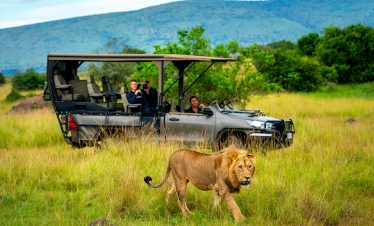 15-days-safari-in-rwanda-wildlife-gorillas-culture