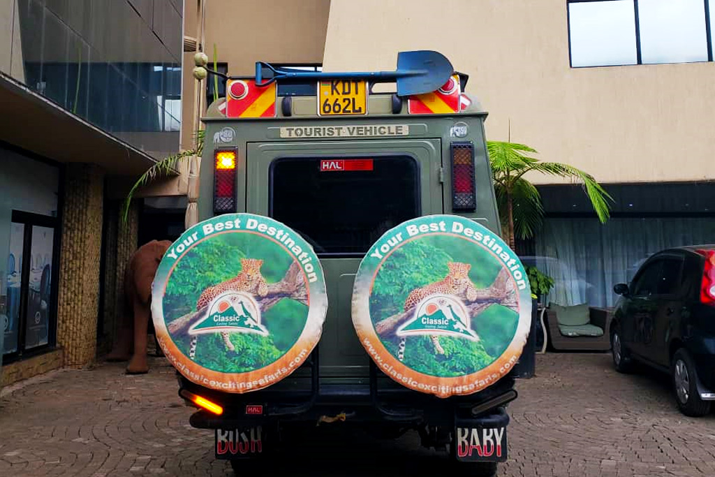 5-days-kenya-road-trip-safari