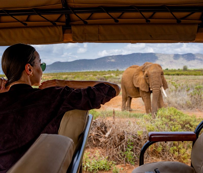7-days-masai-mara-lake-nakuru-lake-naivasha-amboseli
