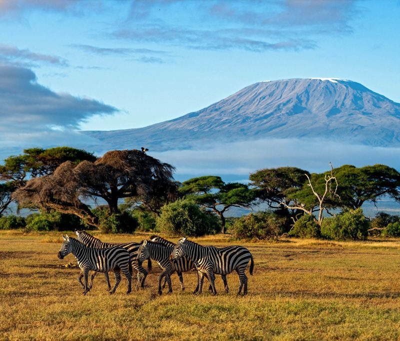 mount-kilimanjaro-via-shira-route