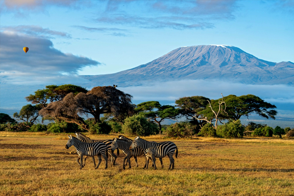 mount-kilimanjaro-via-shira-route